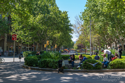 Barcelona 05/2013: image 4 of 65