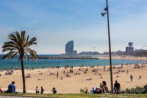 Barcelona 05/2013: image 33 of 65