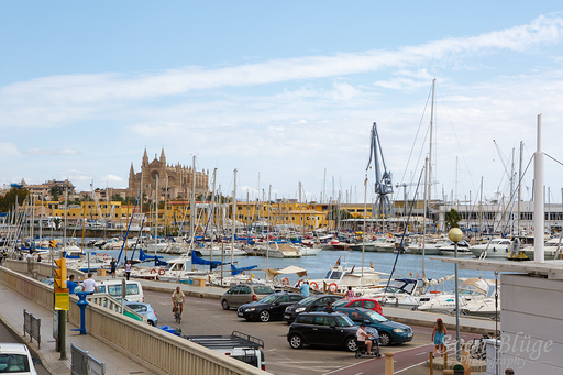 Mallorca 10/2013: image 132 of 133