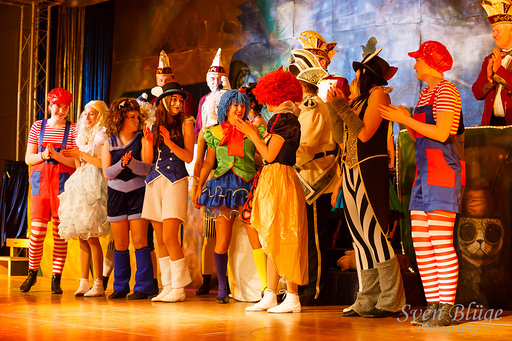 BKC Prunksitzung 2014: image 135 of 244