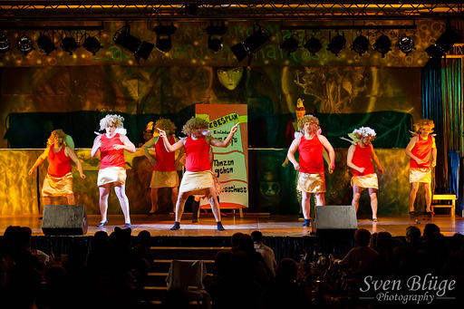 BKC Prunksitzung 2014: image 193 of 244
