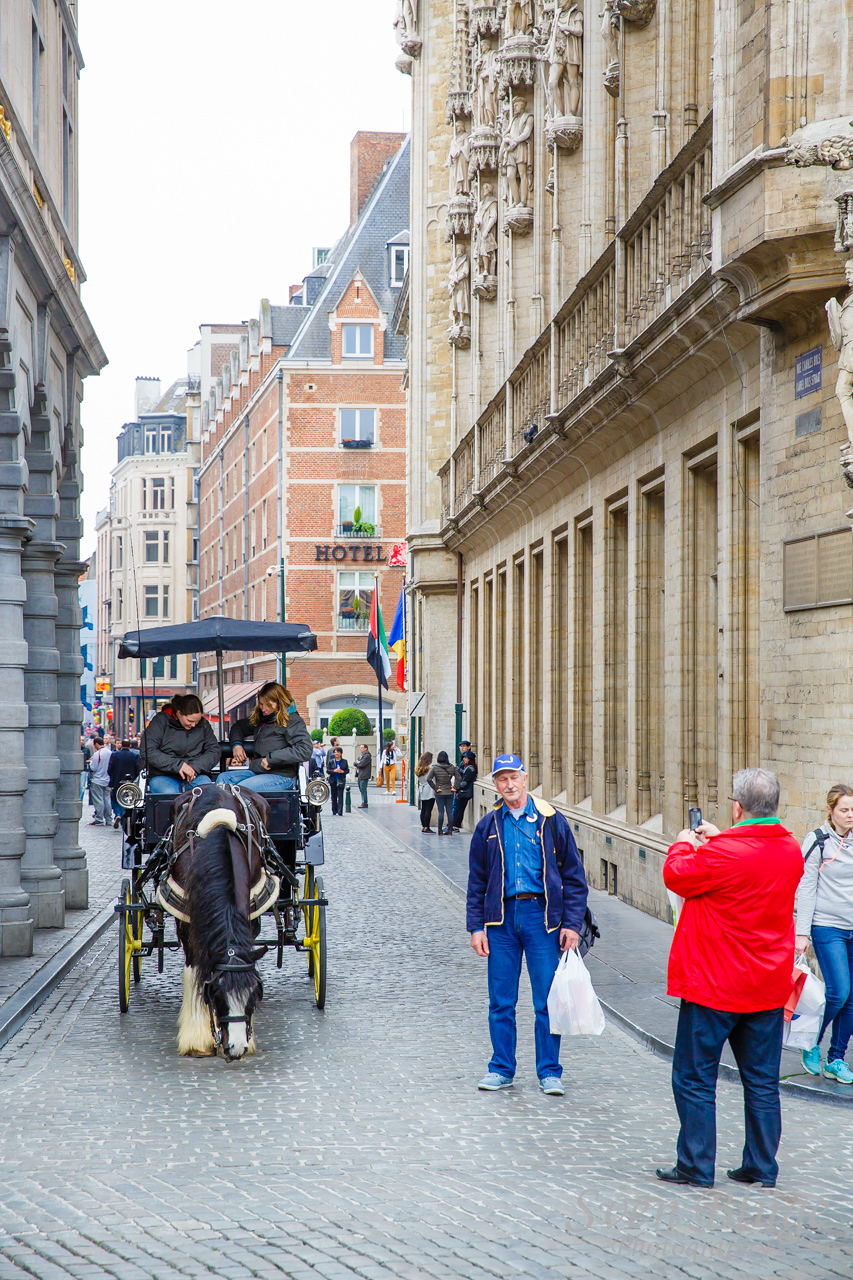 Bruessels 04/2014: image 26 of 39