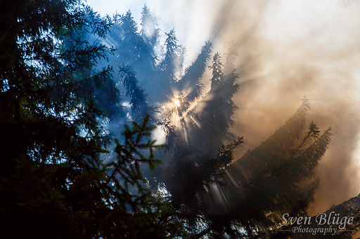 Wernigerode 07/2014: image 71 of 163