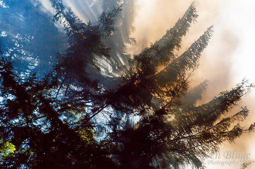 Wernigerode 07/2014: image 72 of 163