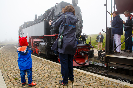 Wernigerode 07/2014: image 95 of 163