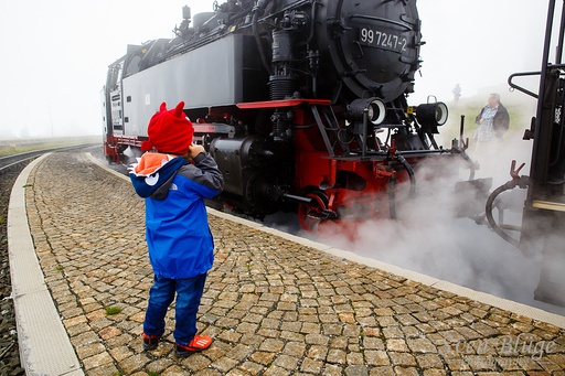 Wernigerode 07/2014: image 96 of 163