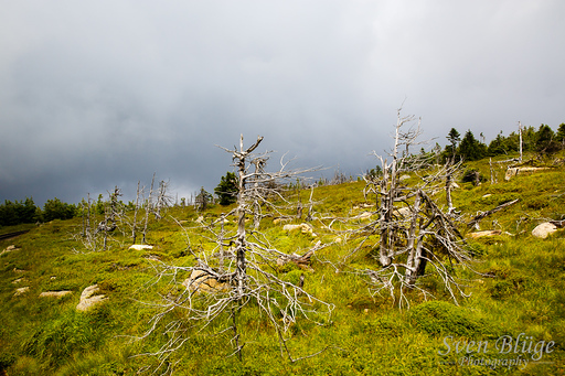 Wernigerode 07/2014: image 99 of 163
