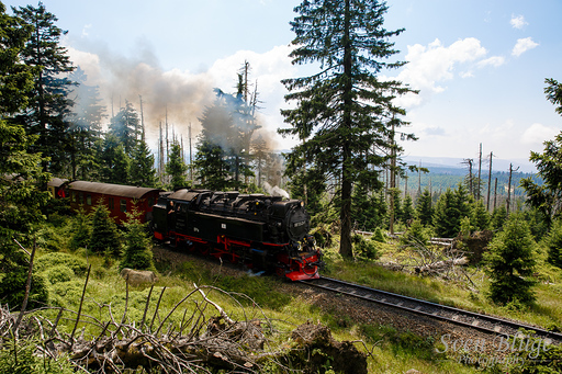 Wernigerode 07/2014: image 103 of 163