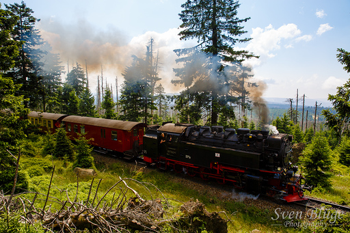 Wernigerode 07/2014: image 104 of 163