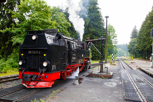 Wernigerode 07/2014: image 109 of 163