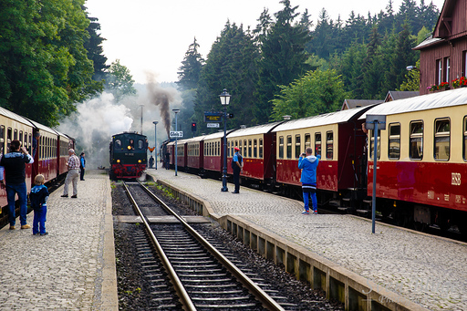 Wernigerode 07/2014: image 110 of 163