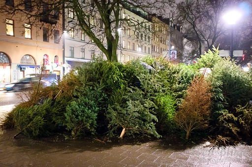 Stockholm 01/2017: image 55 of 148