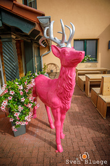 Wedding Katja and Andr&eacute;