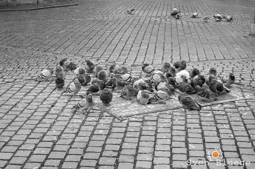Kopenhagen