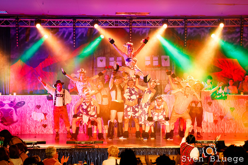 Weiberfastnacht 2018: image 138 of 172