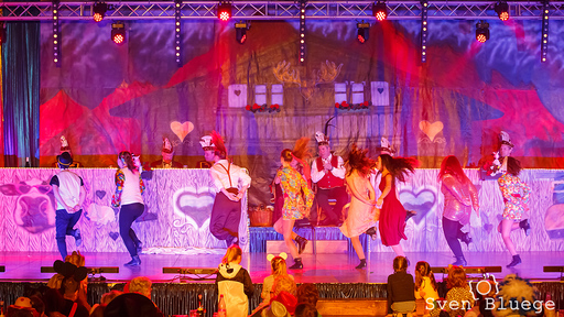 Prunksitzung BKC 2018: image 97 of 212