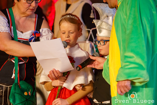 Kinderfasching: image 17 of 88