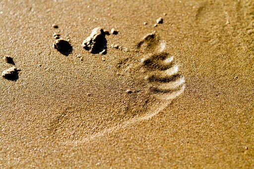 Turkey 2011: image 31 of 35